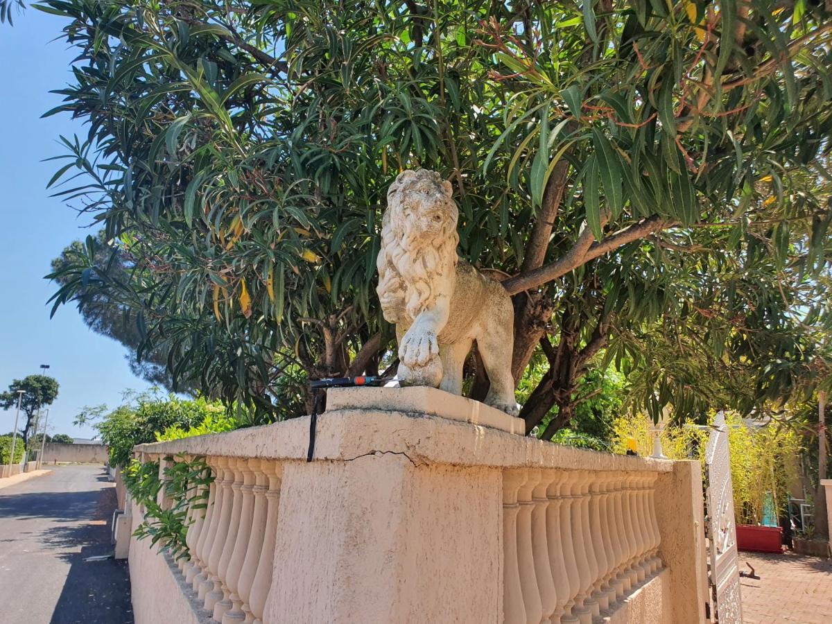 Villa Les Palmiers -Stretta Di I Mandarini Lucciana (Corsica) Exterior foto
