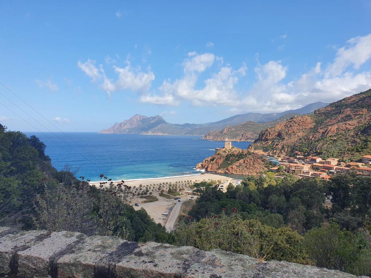 Villa Les Palmiers -Stretta Di I Mandarini Lucciana (Corsica) Exterior foto