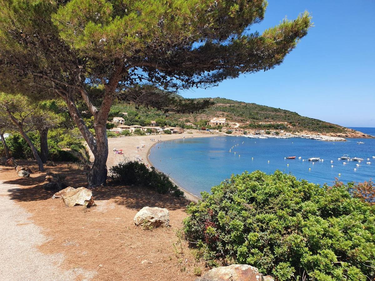 Villa Les Palmiers -Stretta Di I Mandarini Lucciana (Corsica) Exterior foto